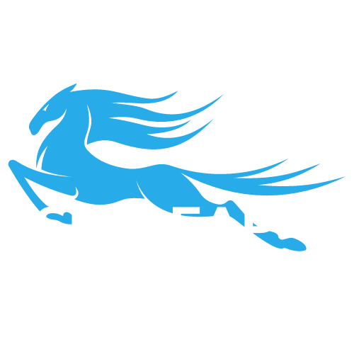 Skyleap Group